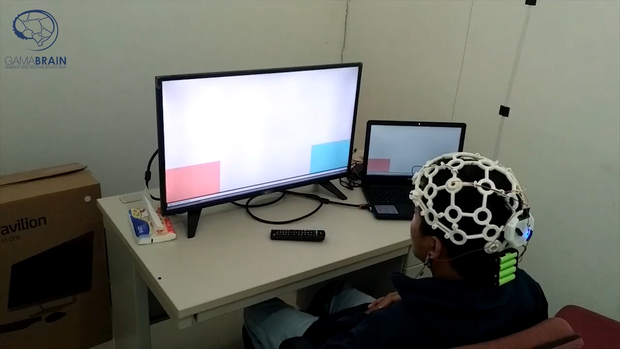 Brain Computer Interface - Digital Signal Processing